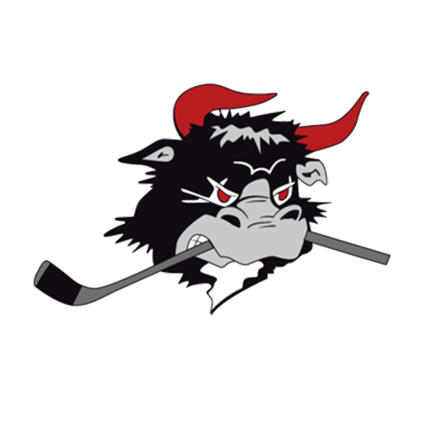 Rødovre Mighty Bulls